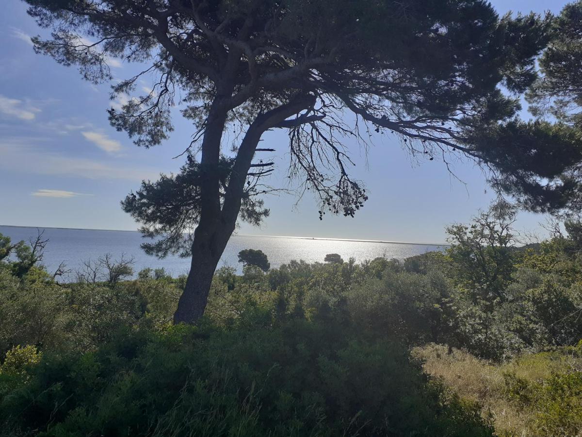 Mobilhome Agreable Sans Draps Ni Serviettes Port-la-Nouvelle Exterior foto